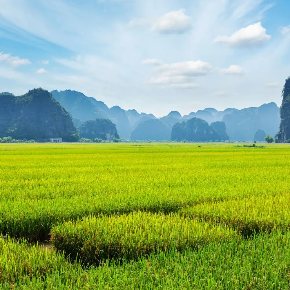 Du lịch theo mùa ở Sơn La 